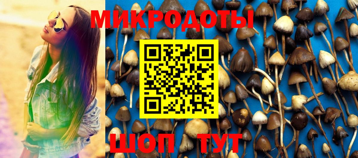 Псилоцибиновые грибы MAGIC MUSHROOMS Чусовой